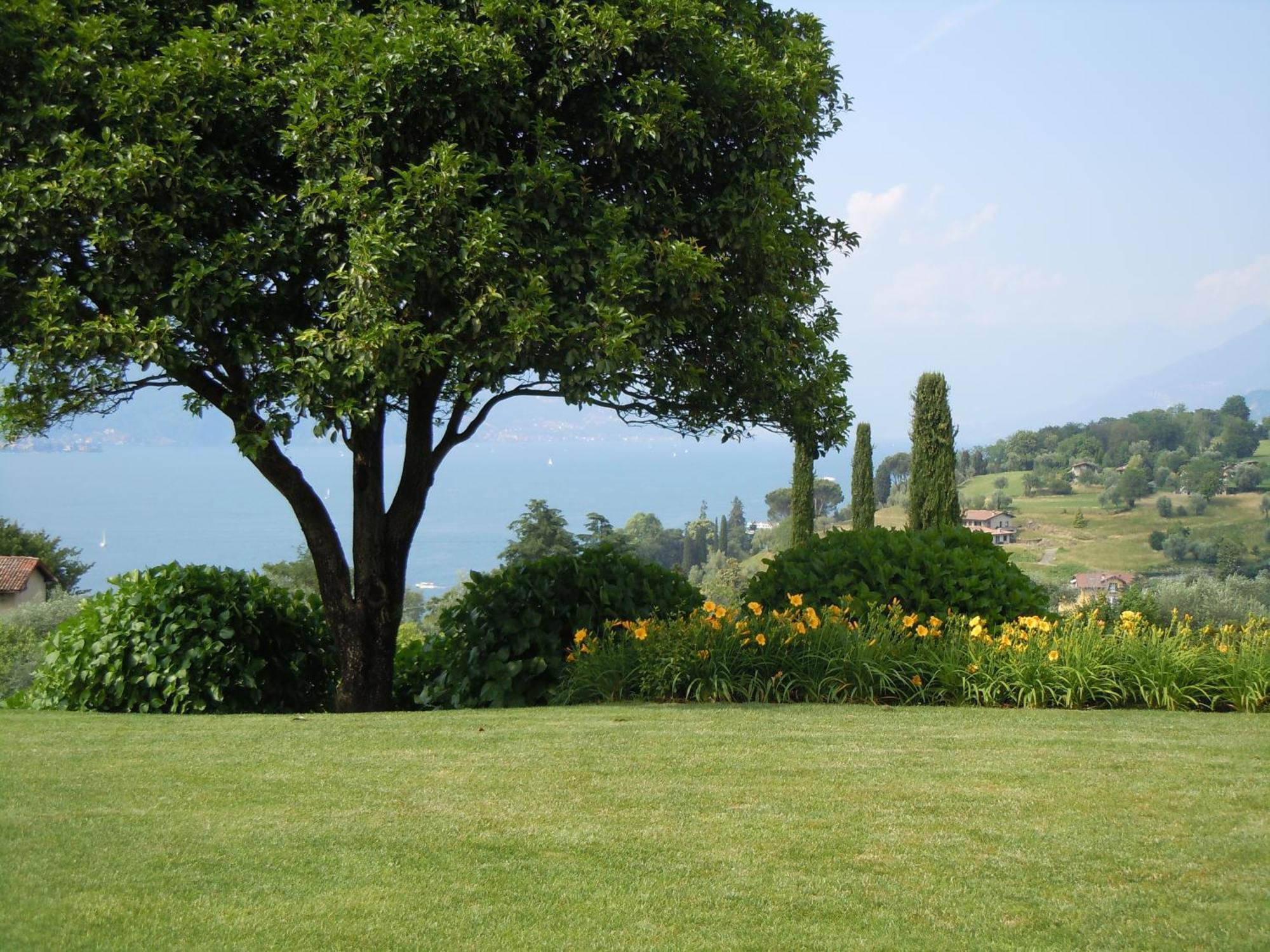 Il Poggio Di Bellagio Apart otel Dış mekan fotoğraf