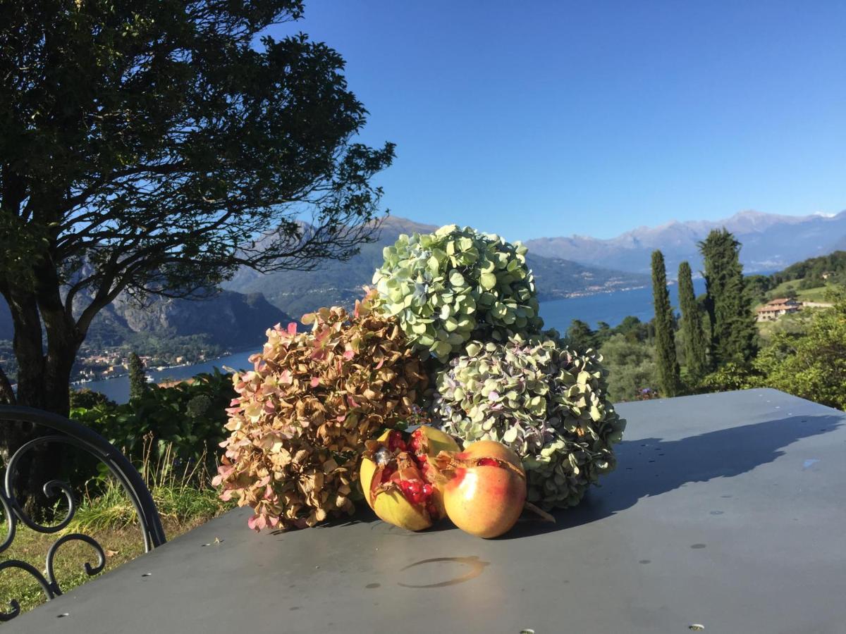 Il Poggio Di Bellagio Apart otel Dış mekan fotoğraf